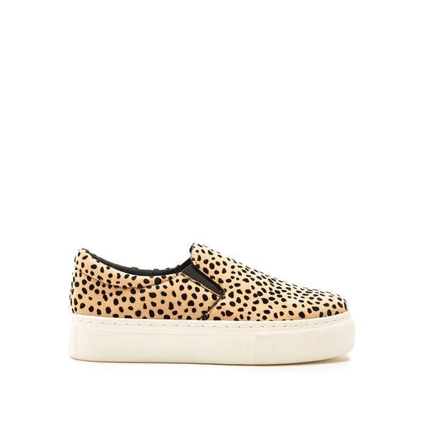 CHEETAH ROYAL SNEAKERS-Body and Sol